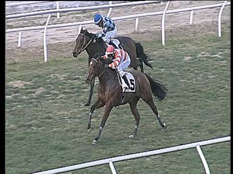 Galoppo 26/02/2019 - 4ª corsa