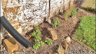 Front Flower Bed Redo | EverCrest