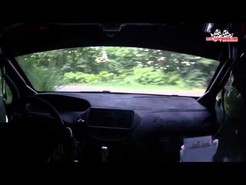 Rally coppa città di Lucca 2015  Perna - Favali  Peugeot 208 R2/B