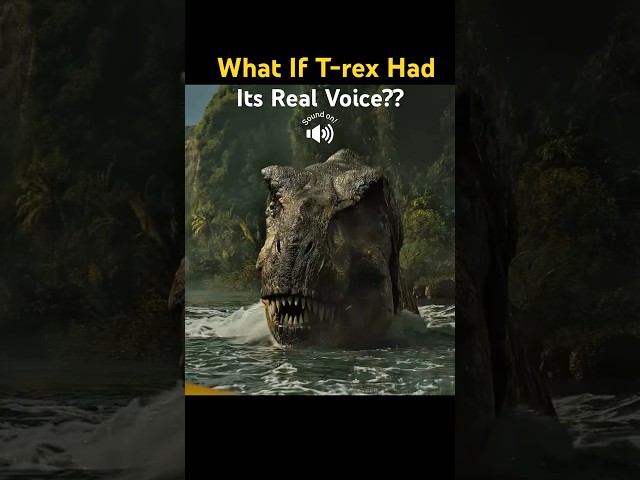 Vídeo relacionado con Logotipo T-Rex de Aventura de Jurassic Park 2025 Sudadera con Capucha, Unisex para Adultos, Azul Marino, S