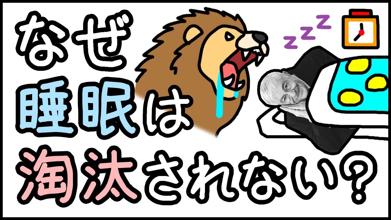 【超無防備】睡眠中は危険なのになぜ進化の過程で淘汰されないのか？【小学生でもわかる科学・ざっくり解説】