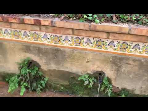 09.10 Excursió a la muntanya