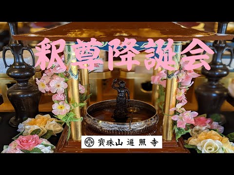仏教学科 日蓮宗遍照寺「釈尊降誕会 花まつり」Buddha's Birthday 令和4年4月8日