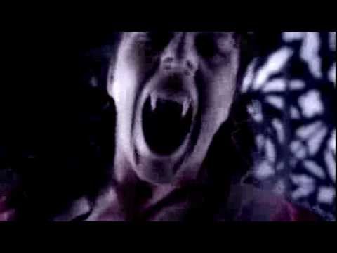 DANCE OF THE VAMPIRES The Hit Musical