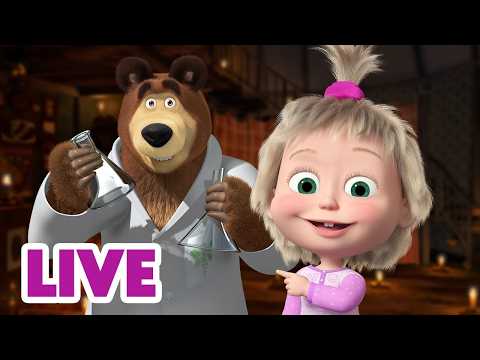 🔴 LIVE! Mascha und der Bär 🧠📆 Genialer Februar 📆🧬 Ingenious February