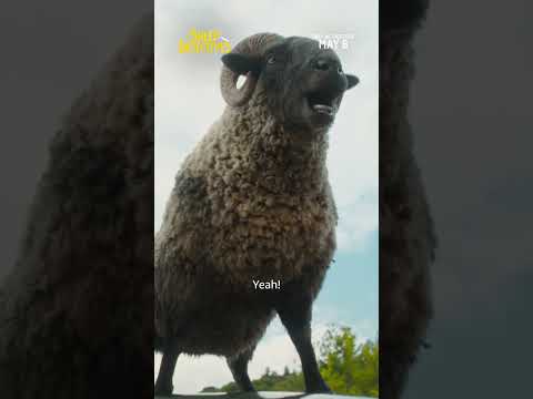 video-thumbnail