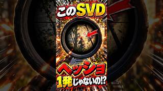 このSVDヘッショ1発じゃないの!?#wardogs