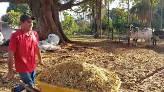 tem uma surpresa  vamos  ver  quem  vai acertar