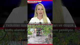 Bursa’nın zirvesinden beyaz haber geldi, aşağıda ise ‘turuncu’ alarm verildi #bu