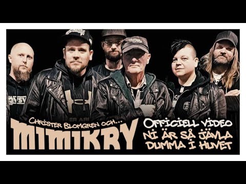 Mimikry feat. Blomgren - Ni är så jävla dumma i huvet