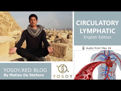 Day 294, CIRCULATORY - LYMPHATIC, Matías De Stefano, BLOG: Heart-Physical-Taurus, Read by Carey 5/24