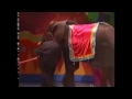 Copy Of Mr Elephant Leaves The Stage Barney Live In New York City