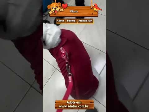 Vídeo de Flora