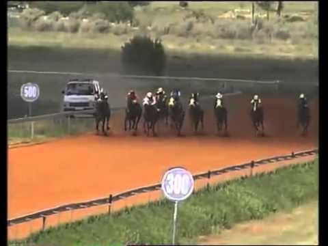 Opening Night-(KY152) Race 7 - R90K - FLAMINGO PARK SPRINT (Non-Black Type) 2011 -1200m