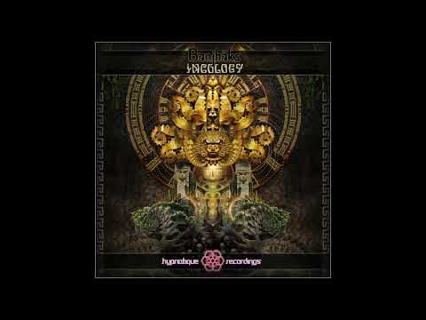 Electryxeed - Teddy's Dream (Banjhāks Remix)