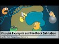Enzyme Examples, Cofactors/Coenzymes, Inhibitors, and Feedback Inhibition