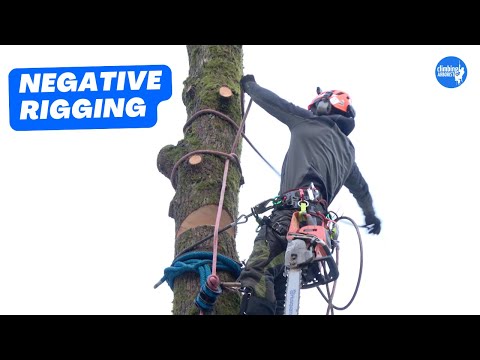 How to rig sections of trunk onto itself | Arborist Rigging techniques