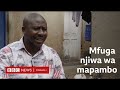 Je Unaweza Kufuga Njiwa Kama Mapambo Nyumbani Kwako