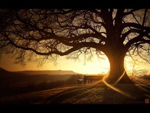 The Strange Familiar - Secret Life