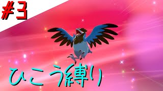 【実況】ひこう縛りでポケモンソード＃3