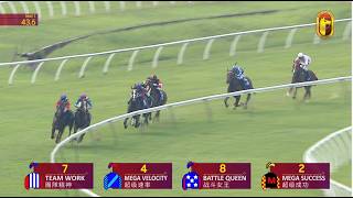 09 AUG 2026 RACE 7