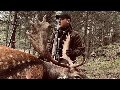 Jakt efter kapitalhjorten!