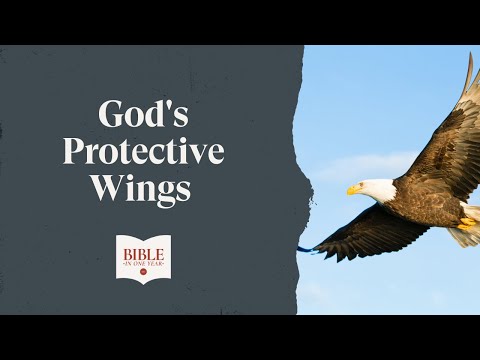 God's Protective Wings - Psalm 5