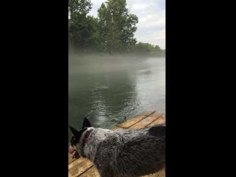 Looks like old boat ramp, musta been very interesting here years ago