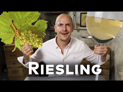 RIESLING - WEIN IN 10