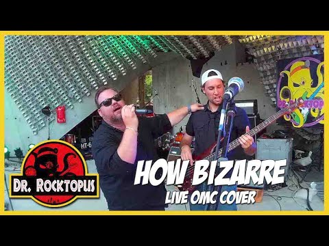HOW BIZARRE - OMC [Live cover by Dr. Rocktopus]