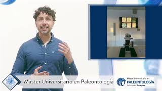 Máster Universitario en Paleontología