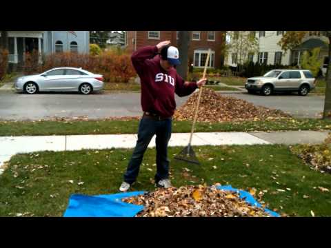 Life to Yakety Sax - Episode I - Leaf Raking