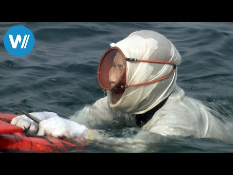 At 78, this Japanese Ama woman still dives for seafood