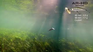 Smith ar hd minnow