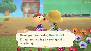 How to unlock MORE Reactions Emotions in Animal Crossing New Horizons