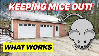 How to Keep Mice Out of Your Garage (Or Shed)