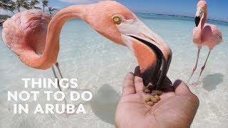 10 Things NOT to Do in Aruba