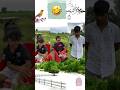Bahan Ne Bhai Ki Oungli Kaat Ke Jaan Bachali Shortfeed Funny Trending Viralshort Ytshorts