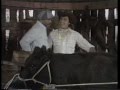 Classic Sesame Street Gordon Milks A Cow