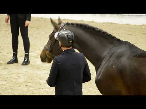 Weltmeyer- und Stakkato-Preisträger 2023