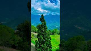 Be still... like trees and mountains