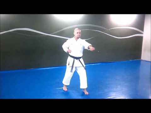 KATA TOITSU-KATA HEIAN NIDAN SHITO RYU