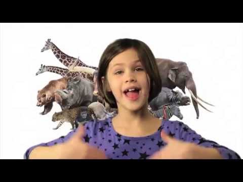 ASL Animals Song - Song only