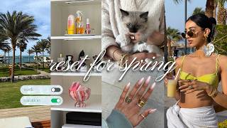 spring reset 🌷 new kitten, vacation prep, holiday in Egypt & organizing my life