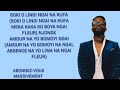 Fally Ipupa Amour Na Yo Paroles