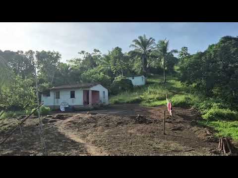 Fazenda em Igrapiúna Bahia