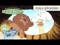 Little Bear The Dandelion Wish The Broken Boat Duck Takes The Cake FULL EPISODE