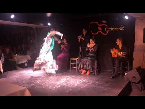 Tablao Las Carboneras: Marina Perea, en la bulería de sus cantiñas