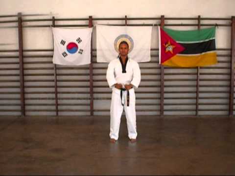 Taekwondo Poomsae 1 - 8
