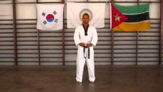 Taekwondo Poomsae 1 – 8